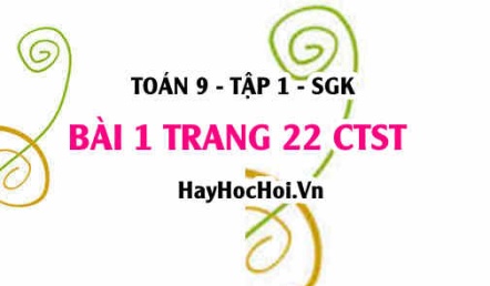 Bài 1 trang 22 Toán 9 tập 1 Chân trời sáng tạo SGK